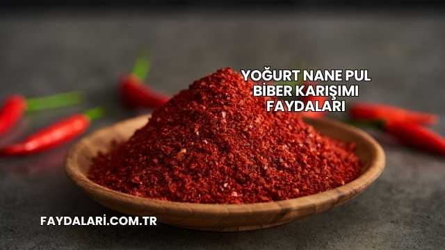 Yoğurt Nane Pul Biber Karışımı Faydaları