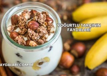 Yoğurtlu Tarçının Faydaları