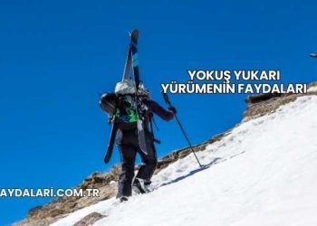 Yokuş Yukarı Yürümenin Faydaları