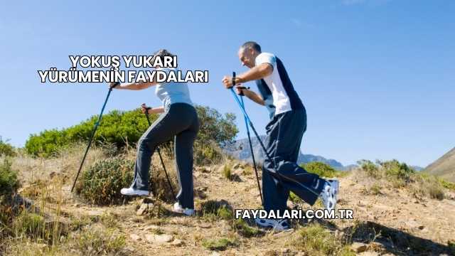 Yokuş Yukarı Yürümenin Faydaları