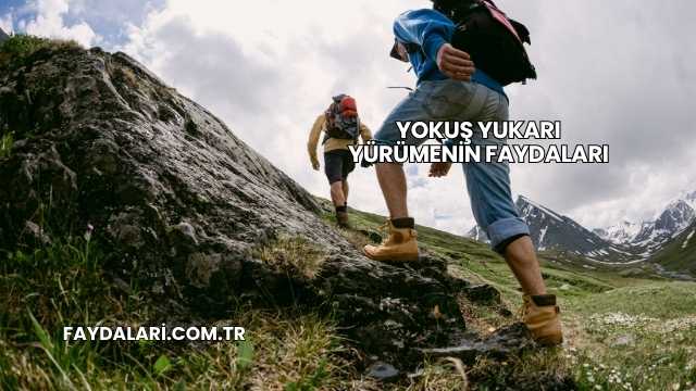 Yokuş Yukarı Yürümenin Faydaları