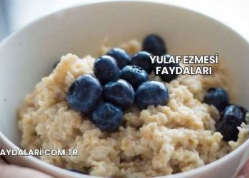 Yulaf Ezmesi Faydaları