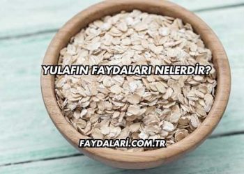 Yulafın Faydaları Nelerdir?
