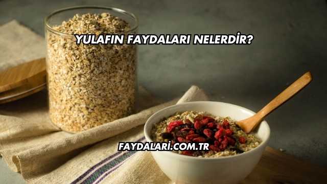 Yulafın Faydaları Nelerdir?
