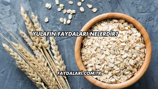 Yulafın Faydaları Nelerdir?