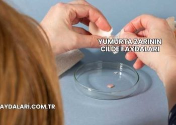 Yumurta Zarının Cilde Faydaları