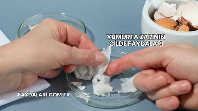 Yumurta Zarının Cilde Faydaları