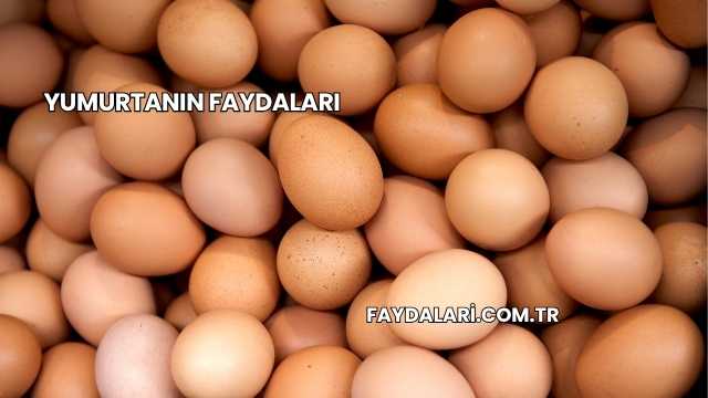 Yumurtanın Faydaları