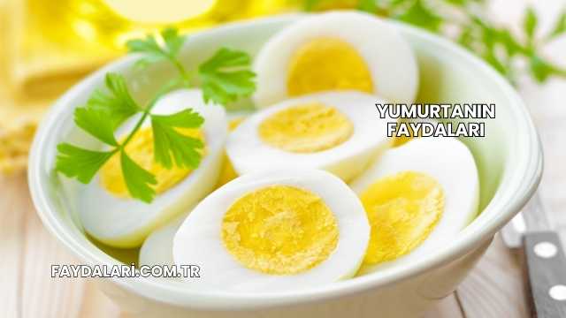 Yumurtanın Faydaları