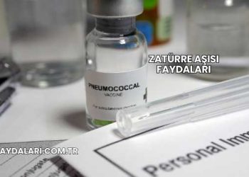 Zatürre Aşısı Faydaları