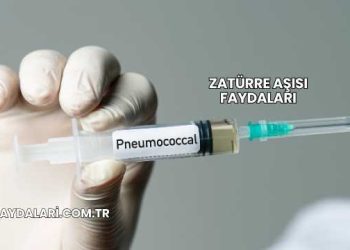 Zatürre Aşısı Faydaları