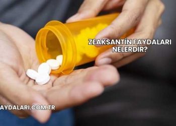 Zeaksantin Faydaları Nelerdir?