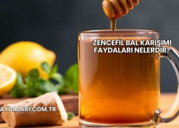 Zencefil Bal Karışımı Faydaları Nelerdir?