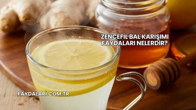 Zencefil Bal Karışımı Faydaları Nelerdir?