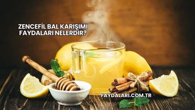 Zencefil Bal Karışımı Faydaları Nelerdir?