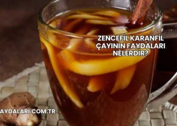 Zencefil Karanfil Çayının Faydaları Nelerdir?