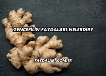 Zencefilin Faydaları Nelerdir?