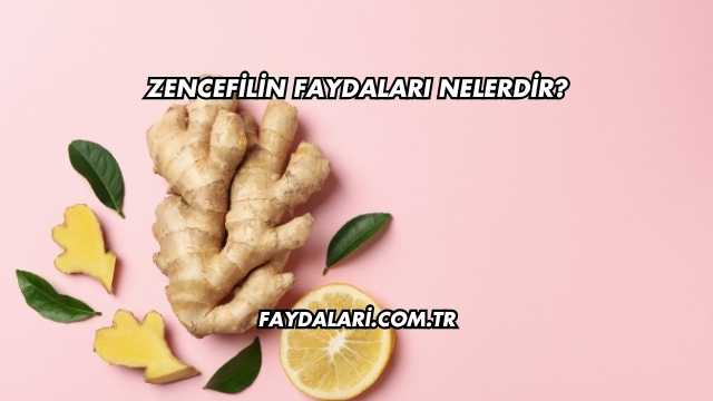 Zencefilin Faydaları Nelerdir?