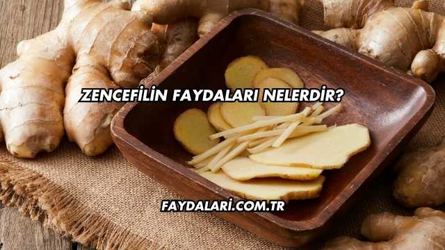 Zencefilin Faydaları Nelerdir?