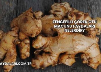 Zencefilli Çörek Otu Macunu Faydaları Nelerdir?