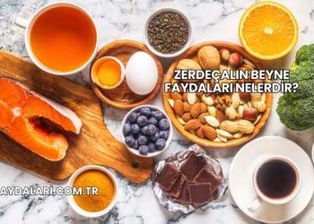 Zerdeçalın Beyne Faydaları Nelerdir?