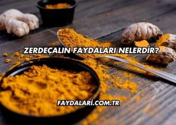 Zerdeçalın Faydaları Nelerdir?