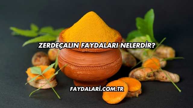 Zerdeçalın Faydaları Nelerdir?