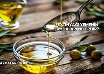 Zeytinyağı Yemenin Faydaları Nelerdir?