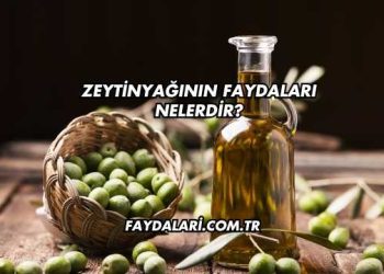 Zeytinyağının Faydaları Nelerdir?