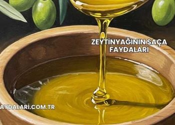Zeytinyağının Saça Faydaları