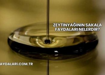Zeytinyağının Sakala Faydaları Nelerdir?