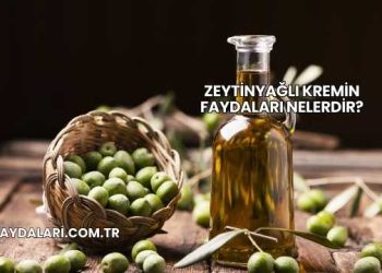 Zeytinyağlı Kremin Faydaları Nelerdir?