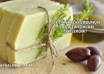 Zeytinyağlı Sabunun Saça Faydaları Nelerdir?