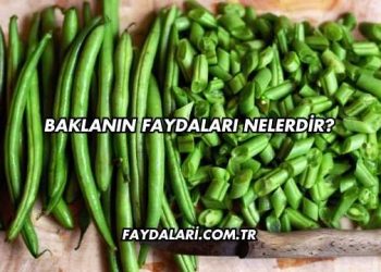 Baklanın Faydaları Nelerdir?