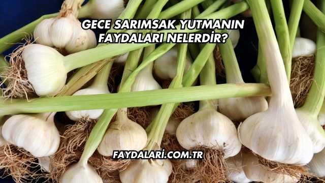 Gece Sarımsak Yutmanın Faydaları Nelerdir?