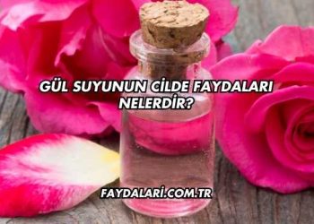 Gül Suyunun Cilde Faydaları Nelerdir?