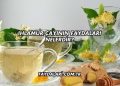 Ihlamur Çayının Faydaları Nelerdir?