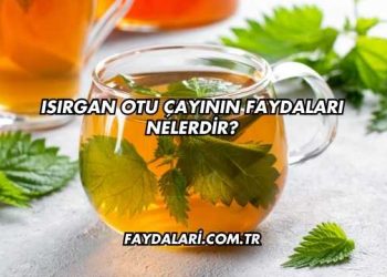 Isırgan Otu Çayının Faydaları Nelerdir?
