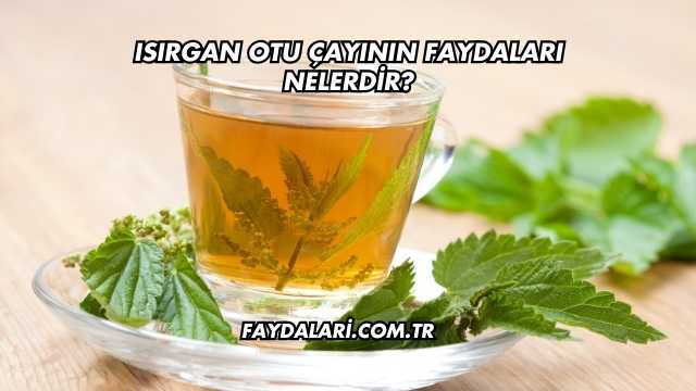 Isırgan Otu Çayının Faydaları Nelerdir?