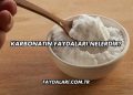 Karbonatın Faydaları Nelerdir?