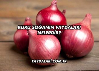 Kuru Soğanın Faydaları Nelerdir?