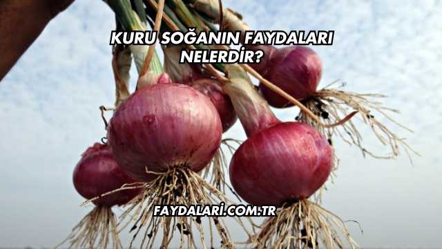 Kuru Soğanın Faydaları Nelerdir?