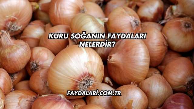 Kuru Soğanın Faydaları Nelerdir?