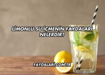 Limonlu Su İçmenin Faydaları Nelerdir