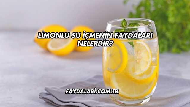 Limonlu Su İçmenin Faydaları Nelerdir