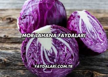 Mor Lahana Faydaları