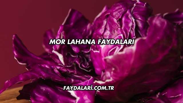 Mor Lahana Faydaları