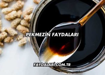 Pekmezin Faydaları