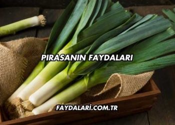 Pırasanın Faydaları
