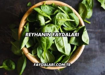 Reyhanın Faydaları